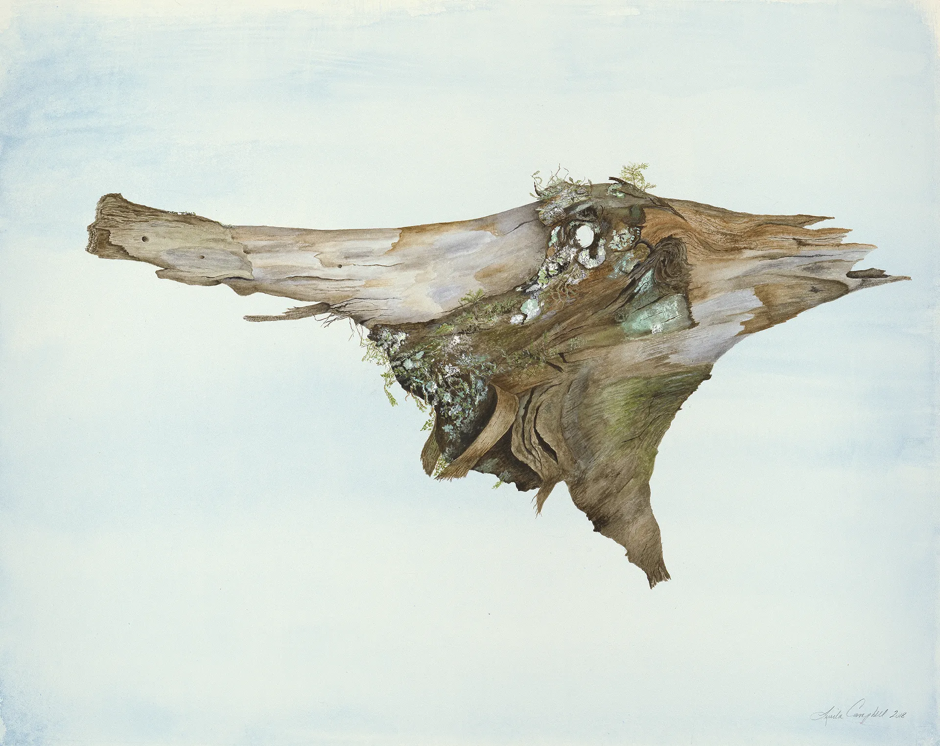 Nature's Gifts artwork